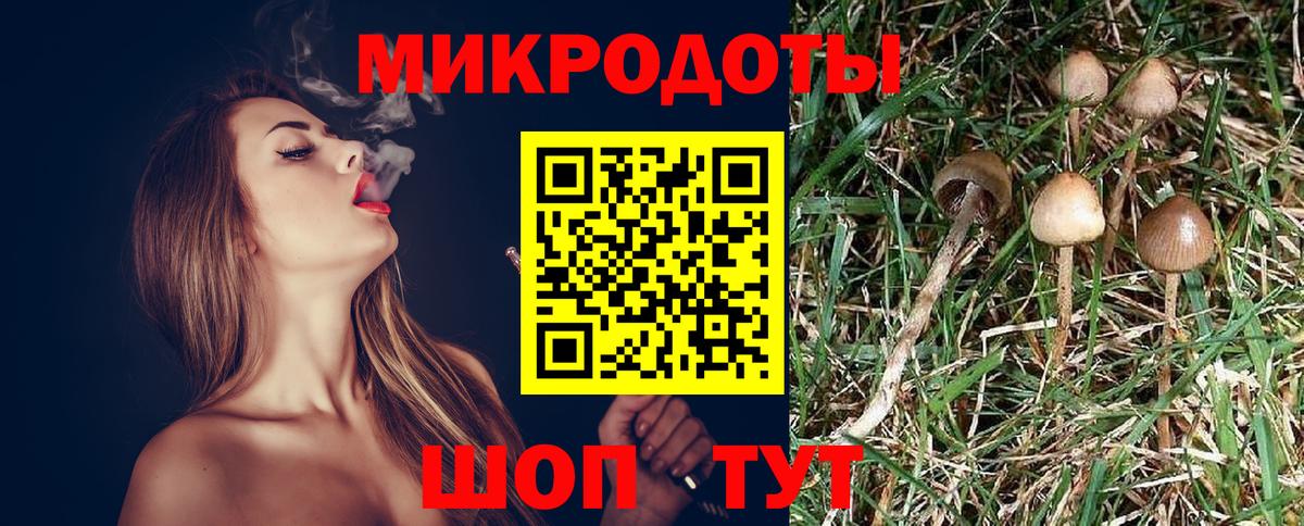 Нефтеюганск  Псилоцибиновые грибы прущие грибы  Псилоцибиновые грибы Psilocybe  Вход с VPN 